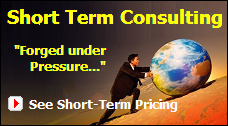 View ABS Short-Term Consulting Pricing Options...